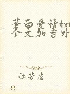 苍白爱情txt全文加番外