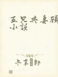 五兄共妻顾心儿小说