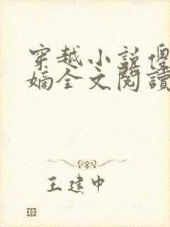 穿越小说傻王夺嫡全文阅读