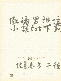 傲娇男神住我家小说txt下载
