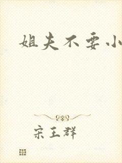 姐夫不要小说封面