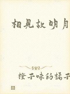相见故明月