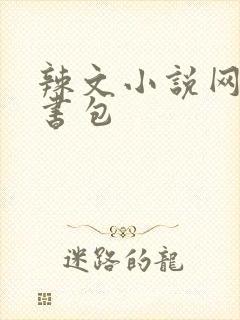 辣文小说网第二书包