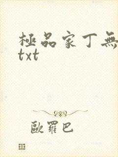极品家丁无删减txt