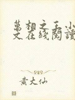 万相之王小说全文在线阅读封面