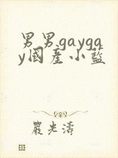 男男gaygay国产小蓝