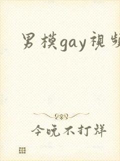 男模gay视频