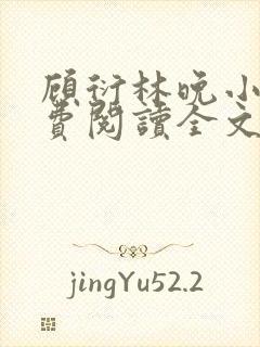 顾衍林晚小说免费阅读全文最新章节更新