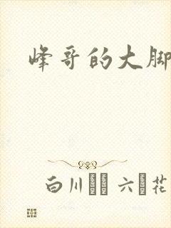 峰哥的大脚封面