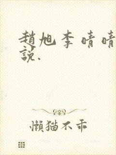 赵旭李晴晴的小说.封面