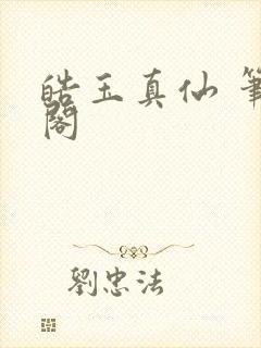 皓玉真仙 笔趣阁