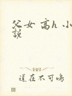 父女 高h 小说封面