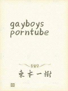 gayboysporntube封面