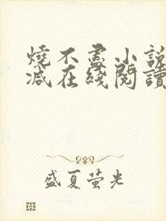 烧不尽小说无删减在线阅读