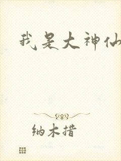 我是大神仙小说封面