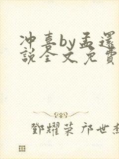 冲喜by孟还小说全文免费阅读