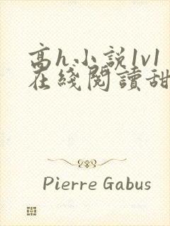 高h小说1v1在线阅读甜宠