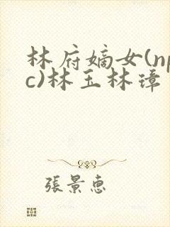 林府嫡女(npc)林玉林璋