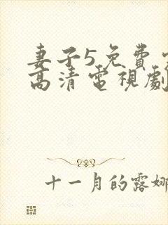 妻子5免费完整高清电视剧在线观看