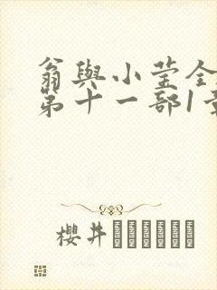 翁与小莹全目录第十一部1章