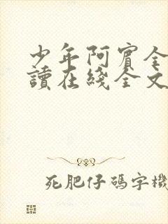 少年阿宾全文阅读在线全文阅读