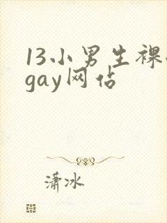 13小男生裸体gay网站封面