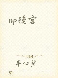 np后宫