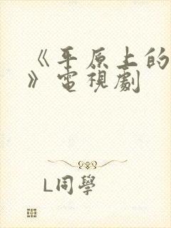 《平原上的摩西》电视剧