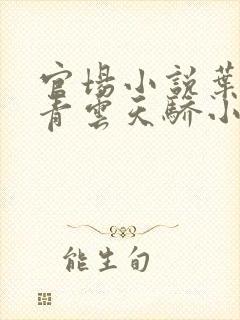 官场小说叶正阳青云天骄小说封面