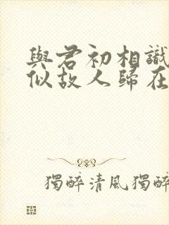 与君初相识,恰似故人归在线观看