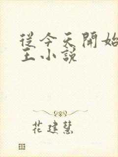 从今天开始当藩王小说