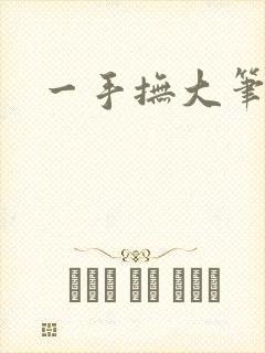 一手抚大笔趣阁封面