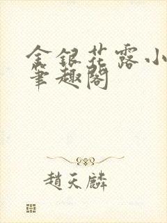 金银花露小说 笔趣阁