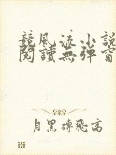 竞风流小说全文阅读无弹窗免费