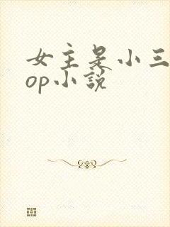 女主是小三的pop小说