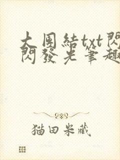 大团结txt闪闪发光笔趣阁封面