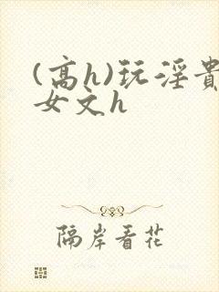 (高h)玩淫贵女文h