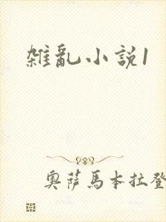 杂乱小说1封面