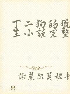 丁二狗的猎艳人生小说完整版