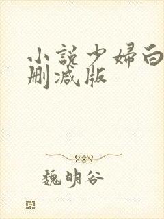 小说少妇白洁无删减版