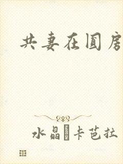 共妻在圆房3p封面