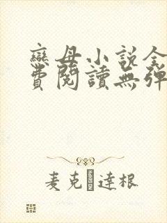 恋母小说全文免费阅读无弹窗笔趣阁封面