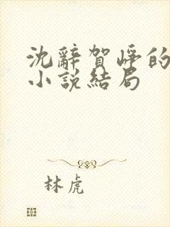 沈辞贺峥的军婚小说结局封面