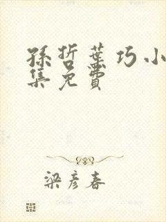 孙哲叶巧小说全集免费封面