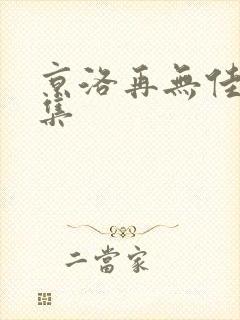 京洛再无佳人全集