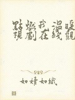 点燃我温暖你电视剧在线观看免费高清