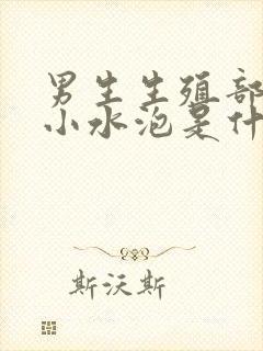 男生生殖部位长小水泡是什么原因