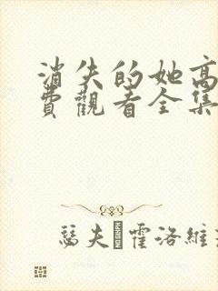 消失的她高清免费观看全集电视剧封面