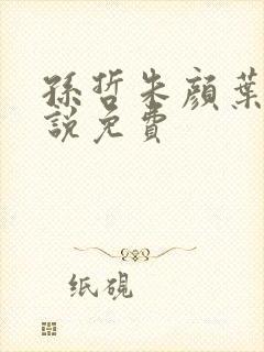 孙哲朱颜叶巧小说免费封面