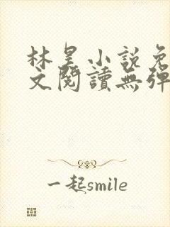 林昊小说免费全文阅读无弹窗